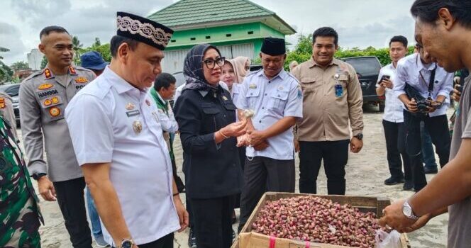 WhatsApp-Image-2026-01-07-at-14.52.57-3-664x498