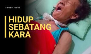 3b34be90cf1740ec92ea0d546ff54c01