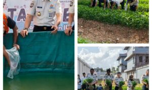 InCollage_20260317_234549422