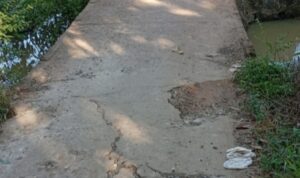 IMG_20260531_101238